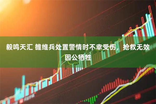 毅鸣天汇 雒维兵处置警情时不幸受伤，抢救无效因公牺牲