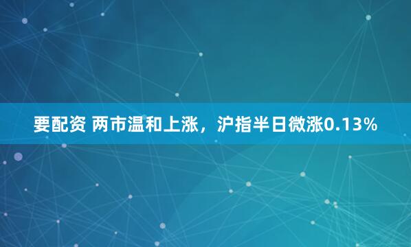 要配资 两市温和上涨，沪指半日微涨0.13%
