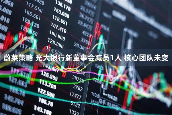 蔚莱策略 光大银行新董事会减员1人 核心团队未变
