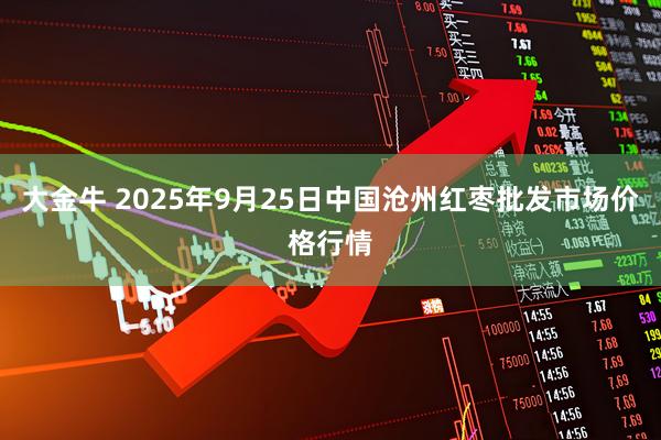 大金牛 2025年9月25日中国沧州红枣批发市场价格行情