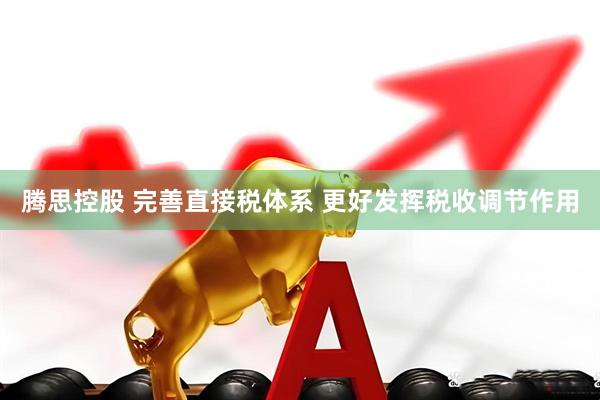腾思控股 完善直接税体系 更好发挥税收调节作用