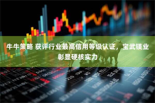 牛牛策略 获评行业最高信用等级认证，宝武镁业彰显硬核实力