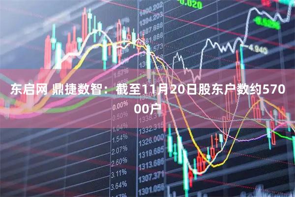 东启网 鼎捷数智：截至11月20日股东户数约57000户