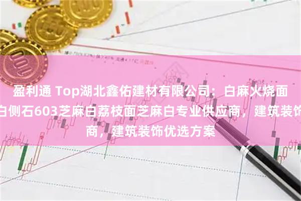 盈利通 Top湖北鑫佑建材有限公司：白麻火烧面石材芝麻白侧石603芝麻白荔枝面芝麻白专业供应商，建筑装饰优选方案