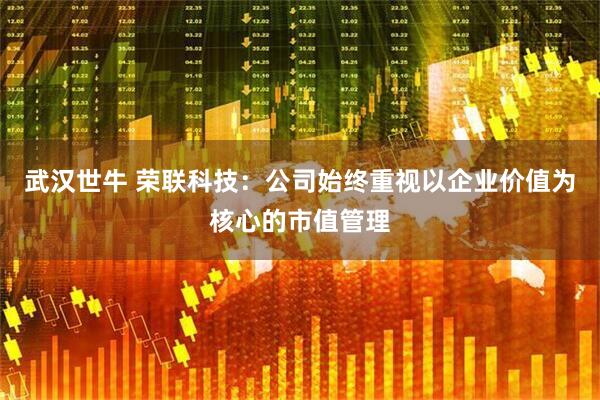 武汉世牛 荣联科技：公司始终重视以企业价值为核心的市值管理